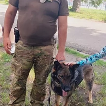 Кропива Fest 2025 — день, коли знання ожили!